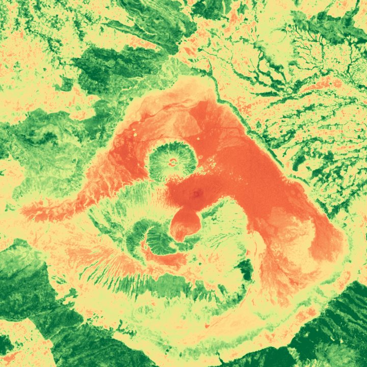 Mount Bromo caldera as NDVI: the bare sand sea is orange, forest is dark green.